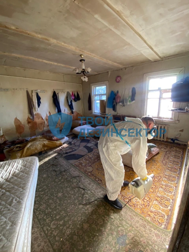 Дезинфекция квартиры в Балашихе
