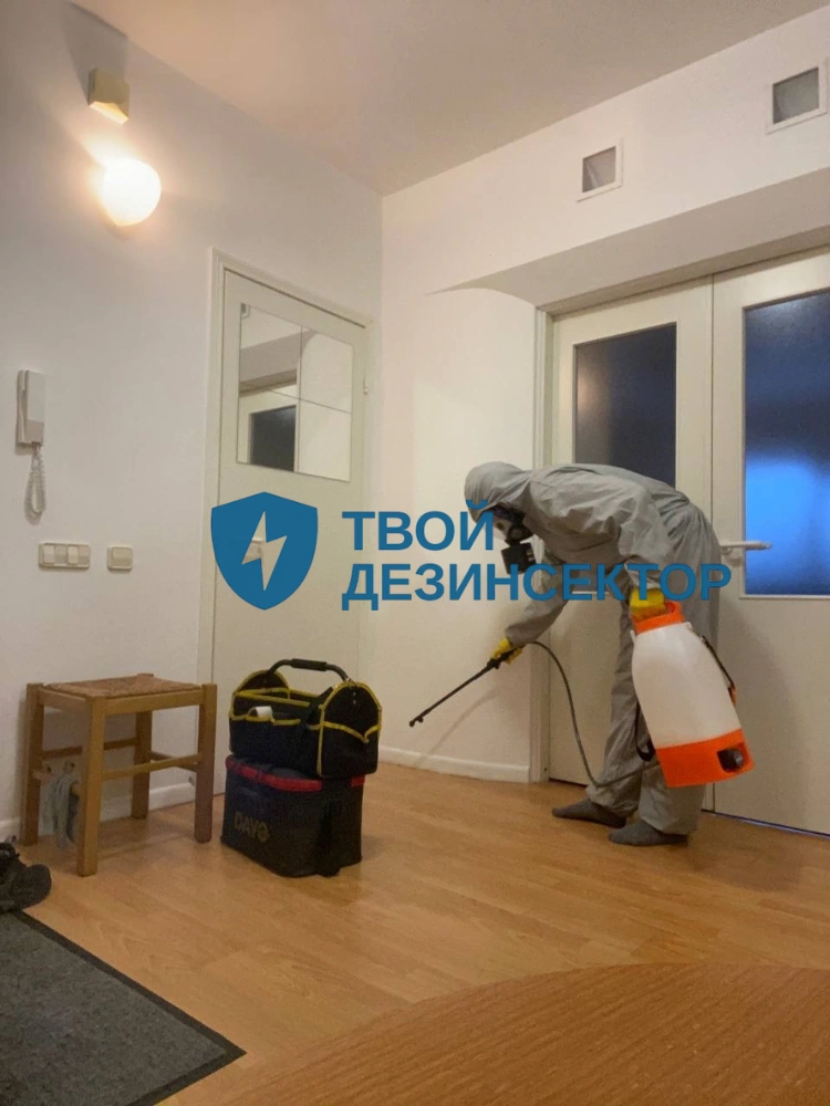 Дезинфекция квартиры в Мытищах