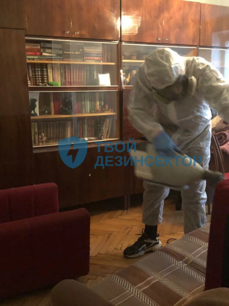 Дезинфекция квартиры в Подольске